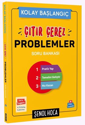 Şenol Hoca - Çıtır Çerez Problemler resmi